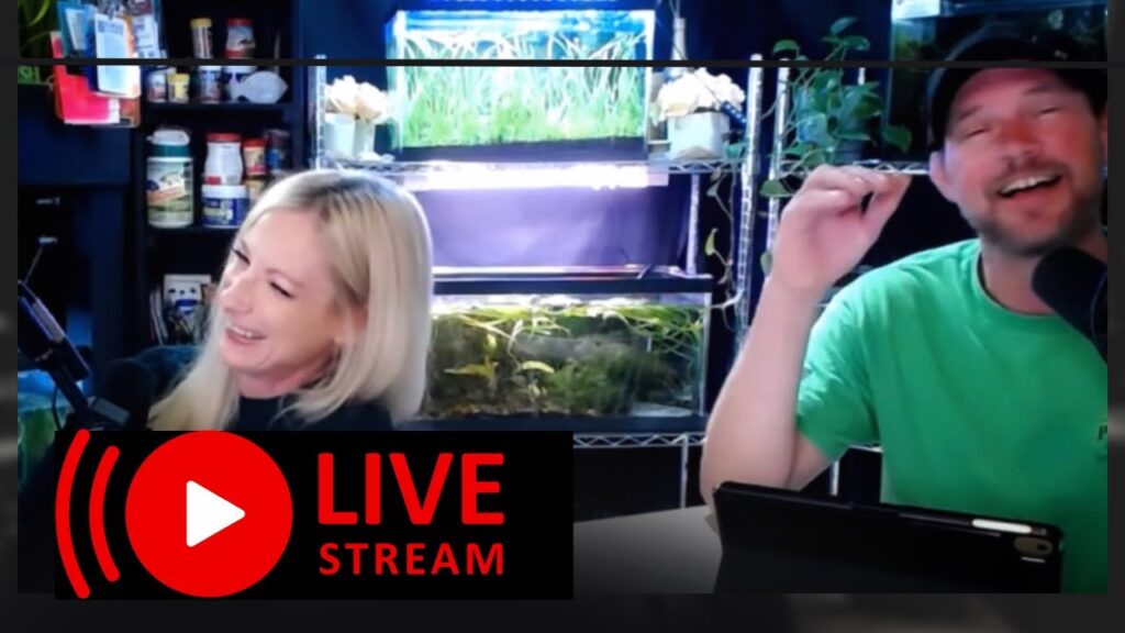 Super Exciting News to Share With You! FINALLY 😁