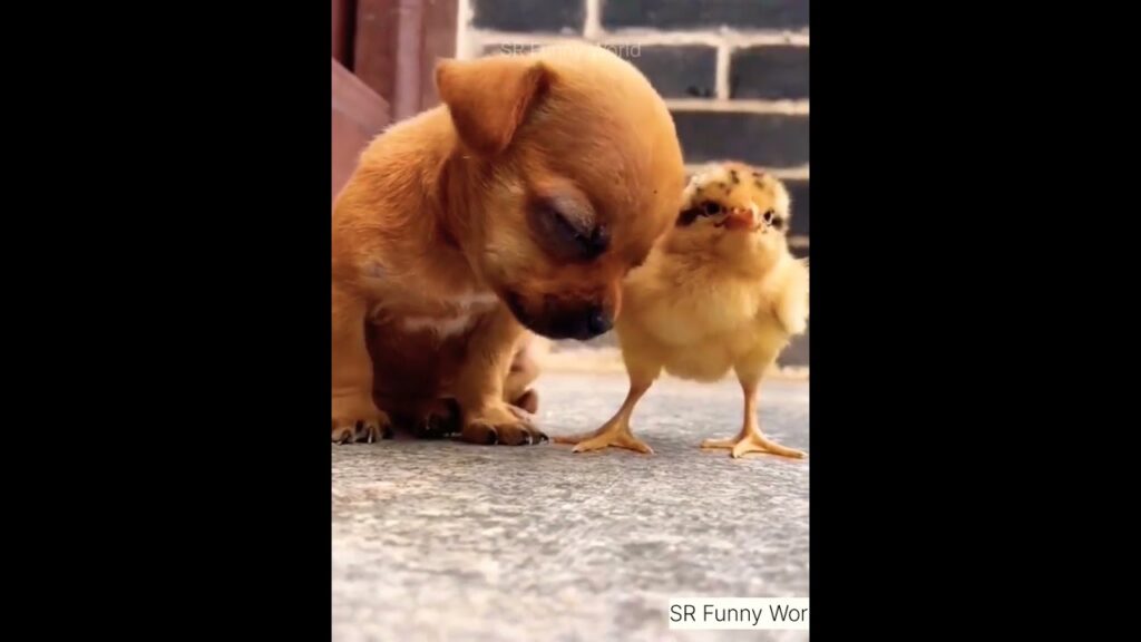 Tag Friends ❤️🫶😍 #respect #viral #youtubeshorts #tiktok #mahadev #trending #reaction #shorts #short