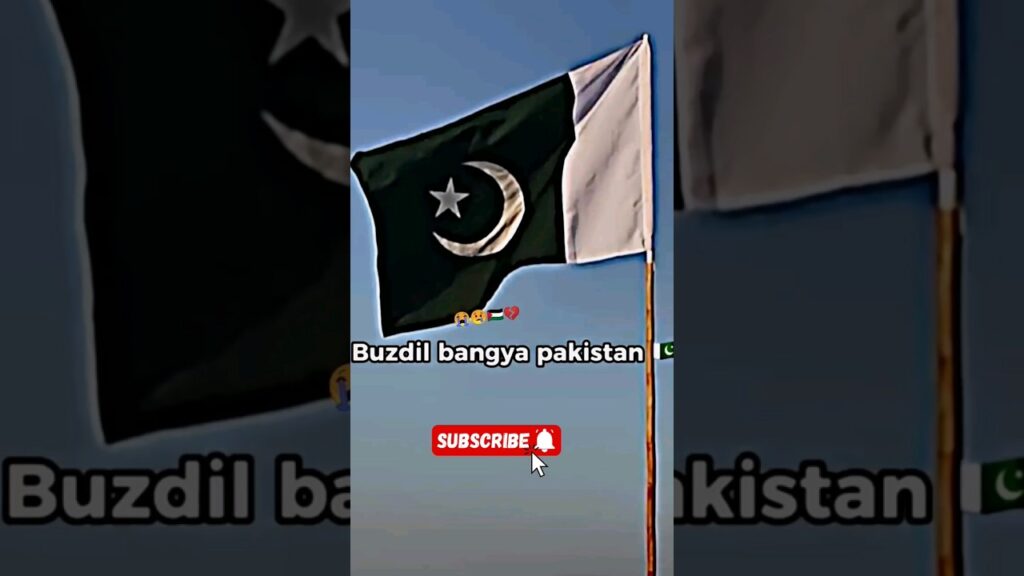 Buzdil pakistan😌!! #shorts #viral #palestine #freepalestine #pakistan #gaza #😭😭😭 #help #allah #allah