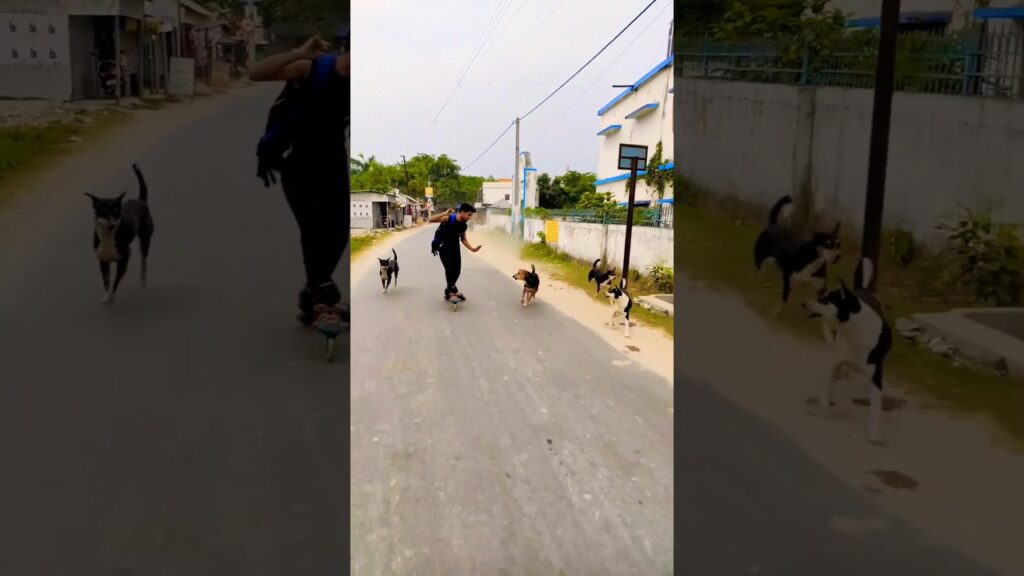 indian #skater #rachit #dogs #atteck #me #professional #speed #skating #trending #viral #shorts