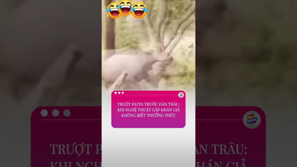 Trượt Patin Trước Đàn Trâu: Khi Nghệ Thuật Gặp Khán Giả Không Biết Thưởng Thức #shorts #haihuoc