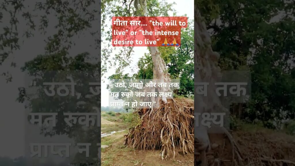 A quest is a mission,🔥UPSC Status Elevates “x” Power Of IAS & IPS🇮🇳🚨🔥#Viral#shorts#LBSNAA#CSAT#UPSC