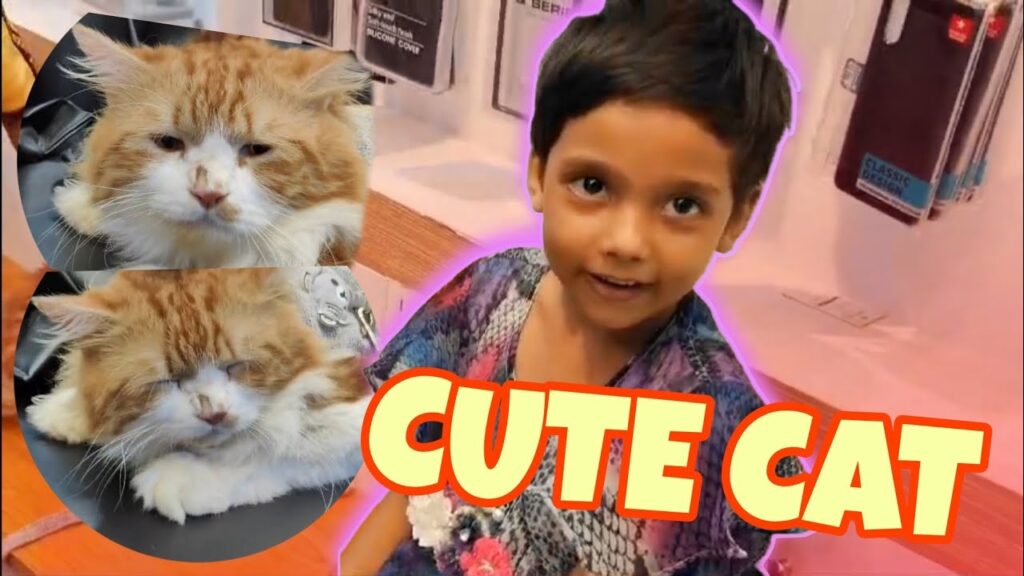 Cute Cat with Roza | cat vlog #dhakaskatingclub #dhaka #rollerskating