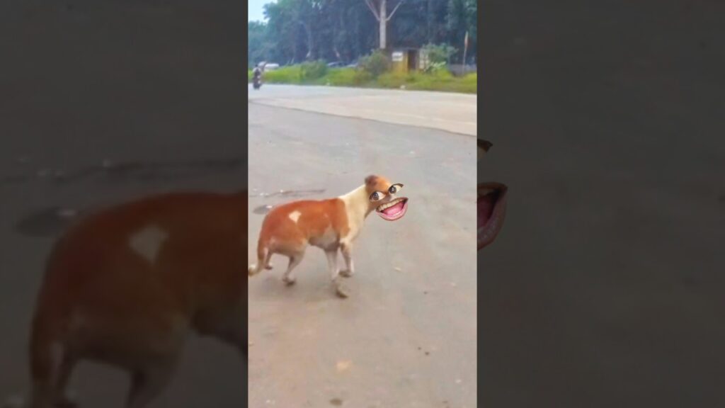 Wait for juice 😂 #trending #new #skating #skater #funny #memes #comedy #reaction #news #jamshedpur