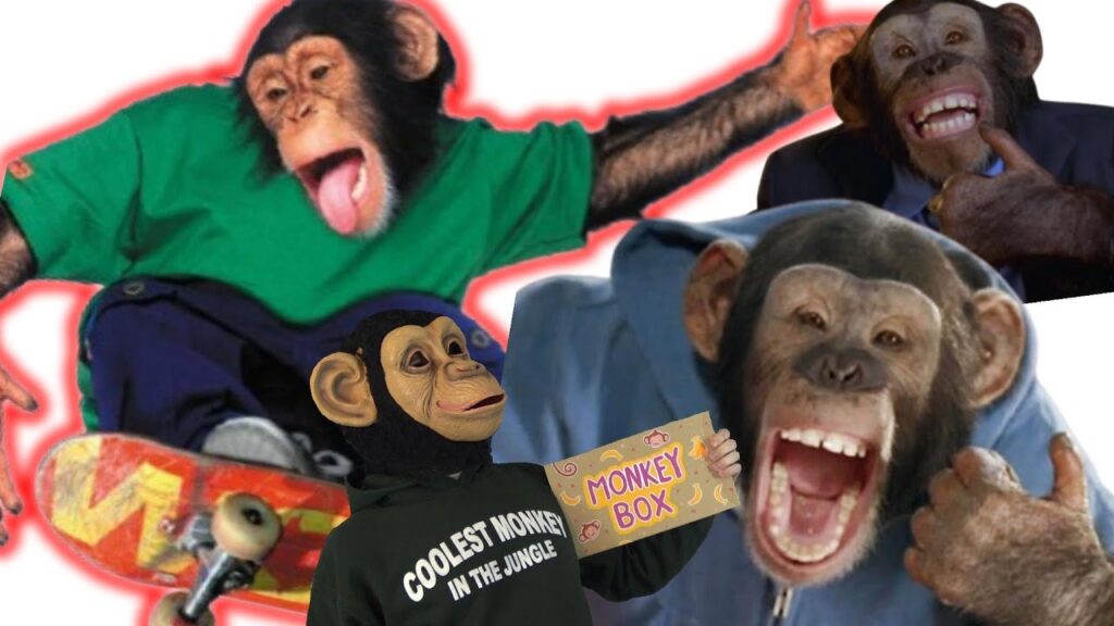 The Skateboarding Monkey Trilogy