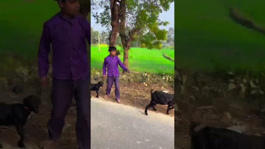 real time video 🐸#skating #youtuber short #short video #viral videos #india #Azamgarh  #youtube