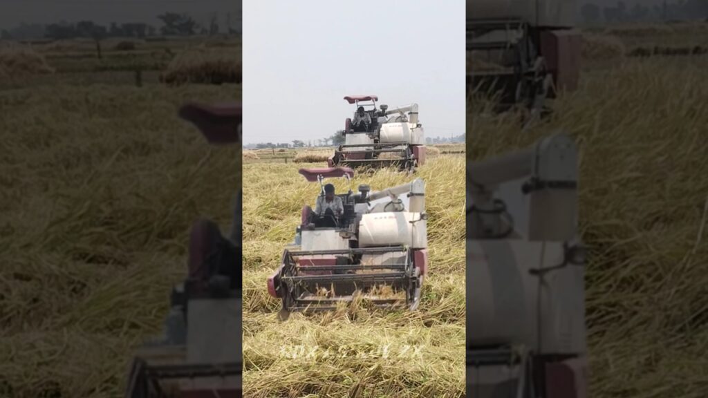 dhan kata machine edit 😇500 subscribe karo 🥺 support #india #youtube #foryou