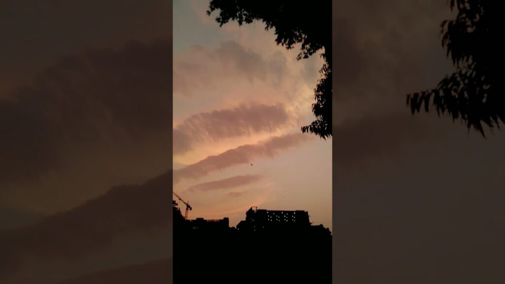 ππ πΌππ¨π’πππ£ ππ π½πππππ‘