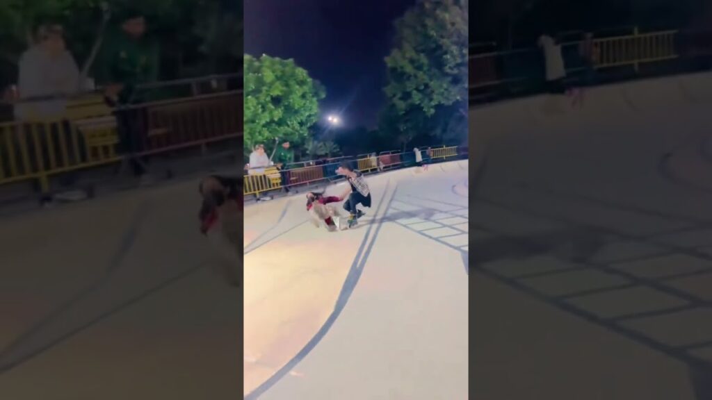 Yah to Gir gai๐ซฃ๐คฃ๐๐ฅฐ๐ฅ #ytshorts #shortvideo #skatingshorts #Ansafakhar #Ansaskater #Fakharskater