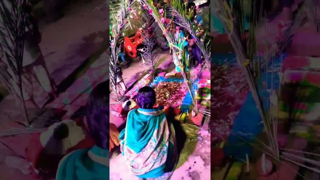 कर्मा पूजा धूम धाम से जो शक्ति और जीवन शक्ति के देवता करम-देवता की पूजा के लिए  है💗♦ #ExamAcer