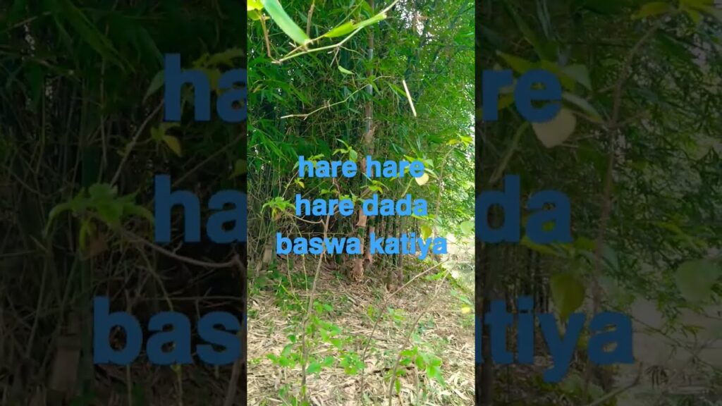 𝗵𝗮𝗿𝗲 𝗵𝗮𝗿𝗲 𝗵𝗮𝗿𝗲 𝗱𝗮𝗱𝗮 𝗯𝗮𝘀𝘄𝗮 𝗸𝗮𝘁𝗶𝘆𝗮❗❗❗💗♦彡★ @lue8tmff