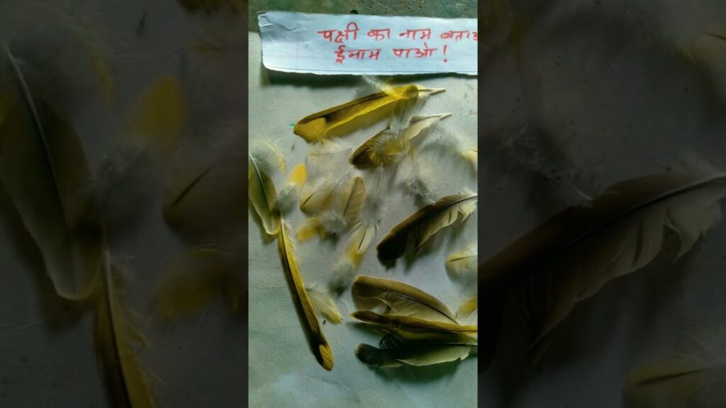 #ExamAcer It’s  Okay To Be Okay @lue8tmff