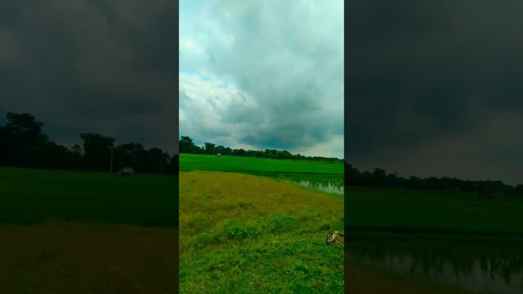 #tiktokeffects Ghata Chha Gayee Hai #SureshWadkar #Waaris #Viral ๐ฅ๐ซ @lue8tmff