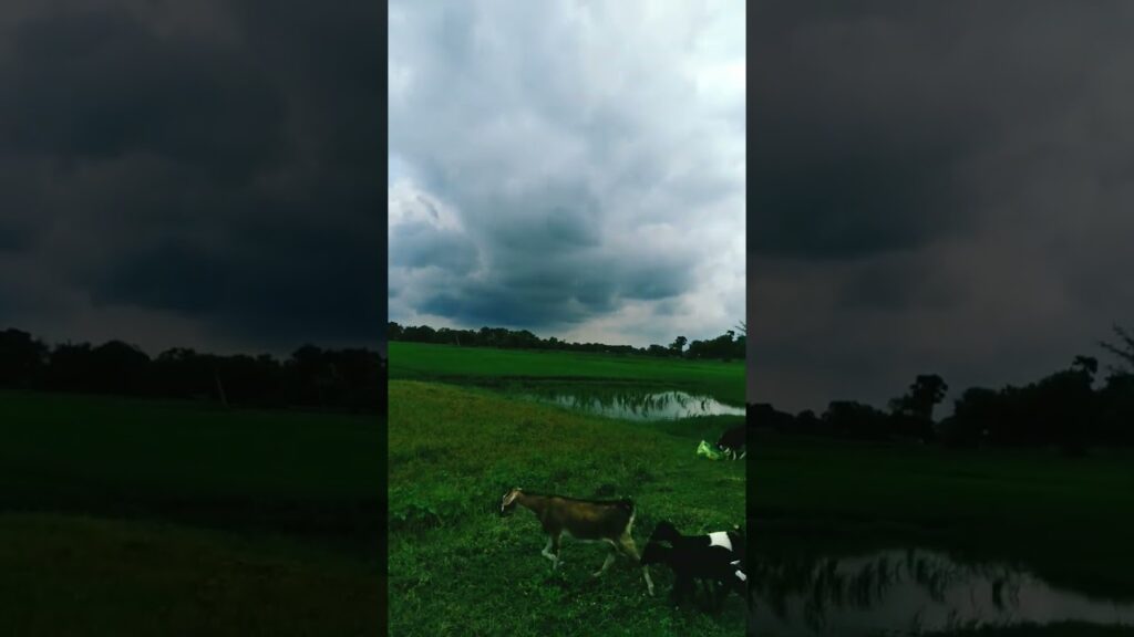 घटा छा गई है बाहर आ गई की खूबसूरत वादियां🔥#tiktokeffects @lue8tmff