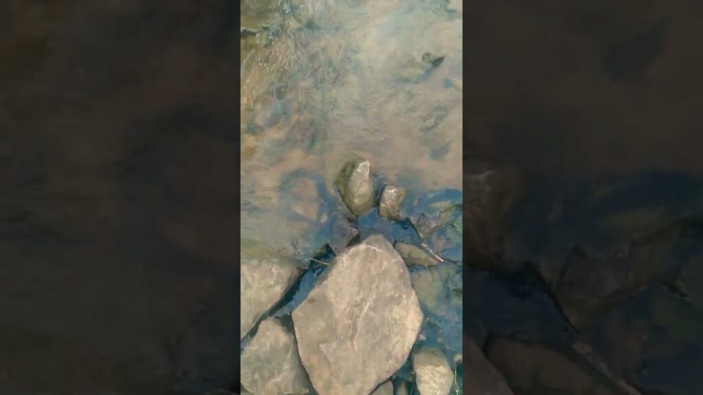 Pure water fulfilled thrusting throat reaxing eyes to watch beautiful flow in mountain drift.!!🔥
