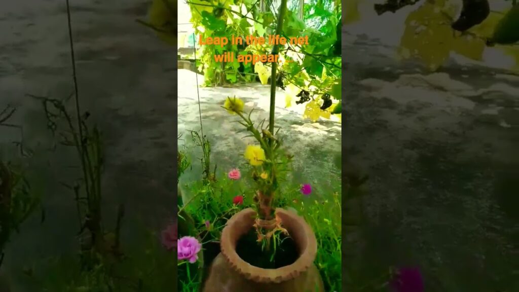 ๐๐ฒ๐ฎ๐ฝ ๐ถ๐ป ๐๐ต๐ฒ ๐น๐ถ๐ณ๐ฒ ๐ป๐ฒ๐ ๐๐ถ๐น๐น ๐ฎ๐ฝ๐ฝ๐ฒ๐ฎ๐ฟ. ..#viralvideo #viral #viralshorts #viralshort #videos #viralreels