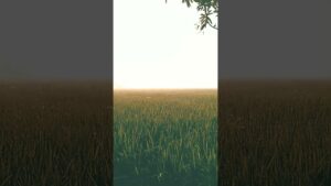 Since We Met Song of Hearts! 🔥#nature #india #thailand#bhutan#china #cambodia#myanmar#hindudeity