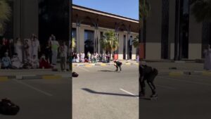 hello guys 😂 #views #viral #skatingchannel #indianskateranas #hindisong #roadskating #song