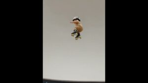 Baby Skating Like a Pro – Adorable Roller Baby Moment That Everyone Loves