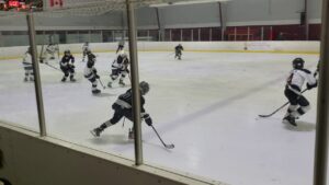 01/19/2020 PeeWee2 vs. Homewood Flossmoor Vikings (Motown Cup Game2) #2