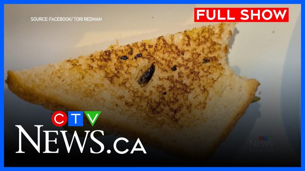 Saskatoon woman finds roach on her diner sandwich | CTV News Saskatoon at Six for Feb. 27, 2026