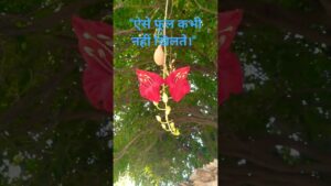 “ऐसे फूल कभी नहीं खिलते।” 💫🗨#shortsfeed #youtubeshorts #art #love #viral #newyoutuber #bestyoutuber